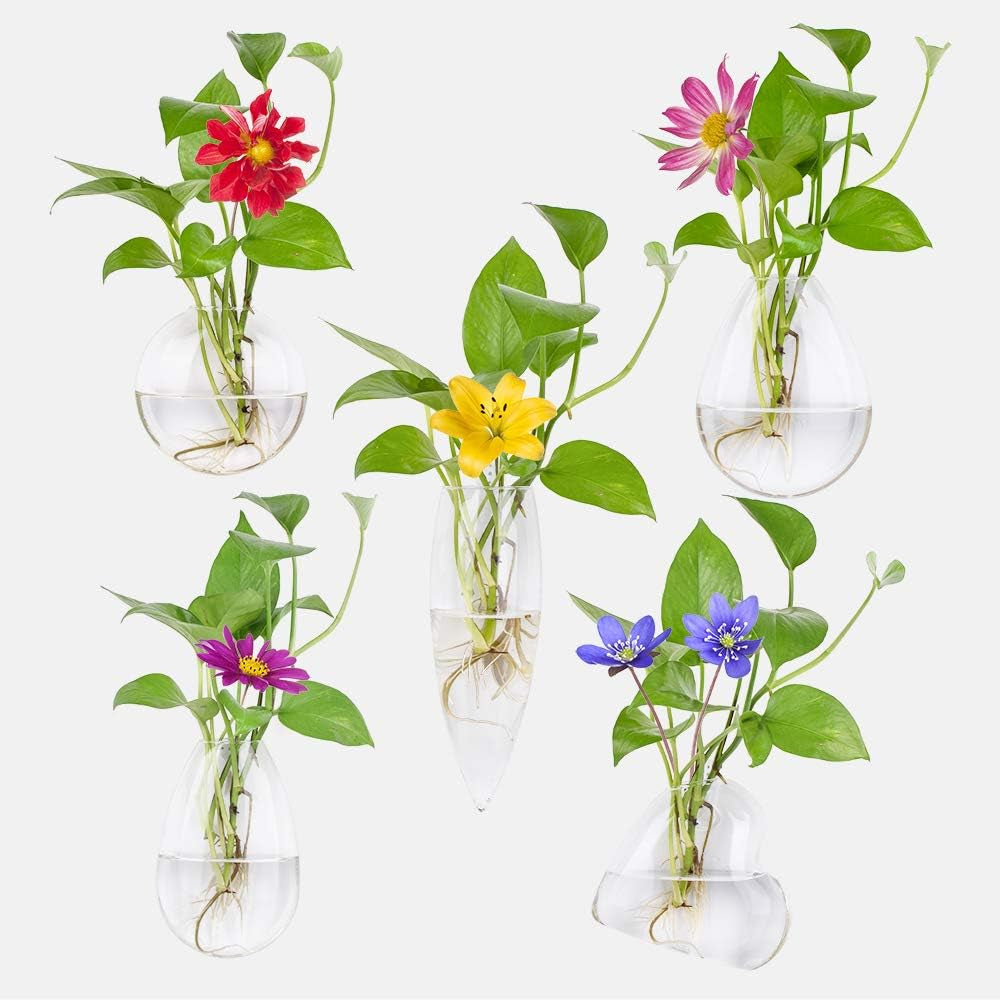Different Geometric Wall Glass Vase Set of 5 for Water Plants or Flowers, Garden Wall Decoration (Clear 5)