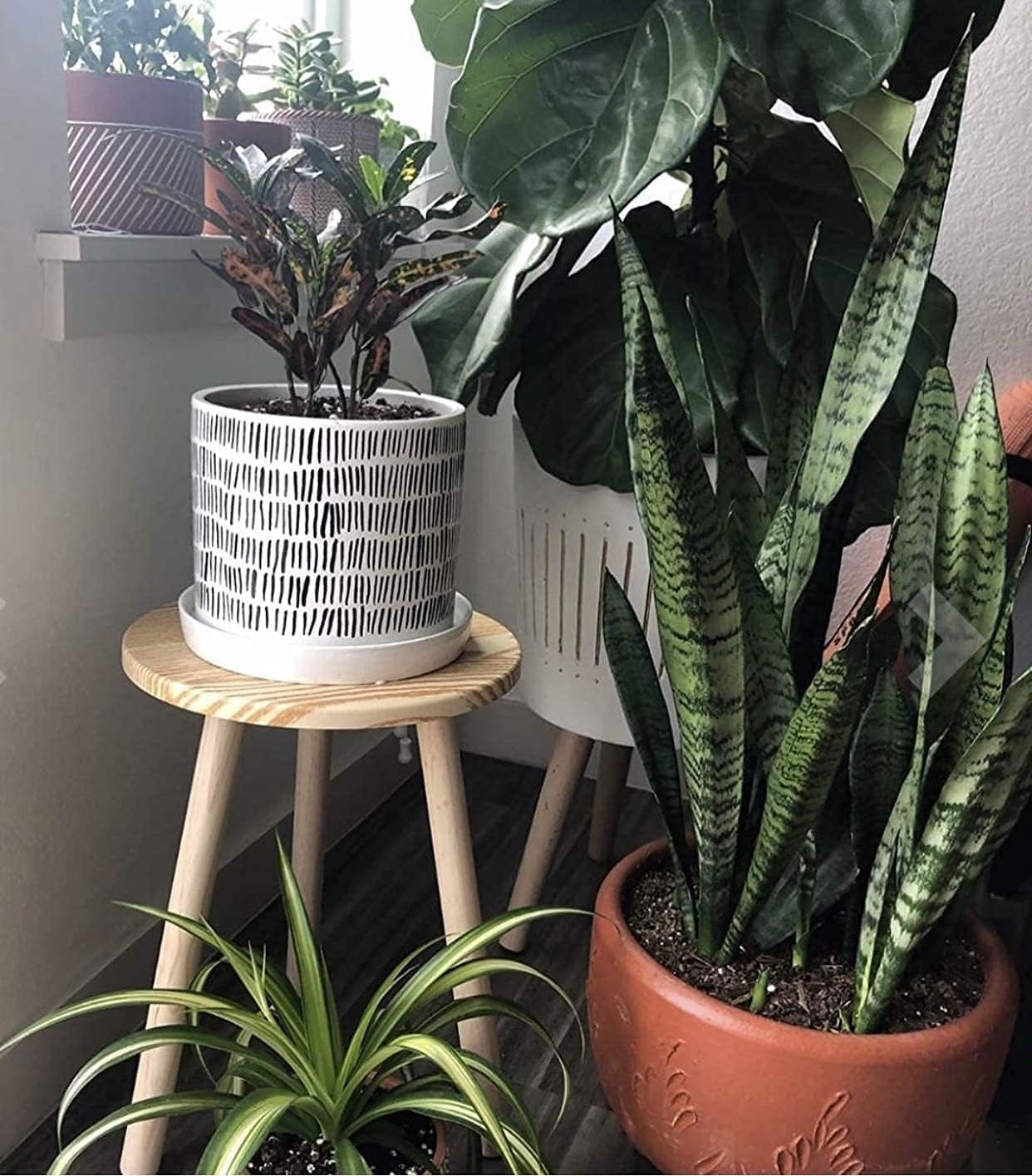 Plant Stand Indoor | Mid Century Plant Stands for Indoor Plants, Tall (16 Inch) Plant Stand, Plant Table, Small Side Table (NO Pot & Plant Incld)