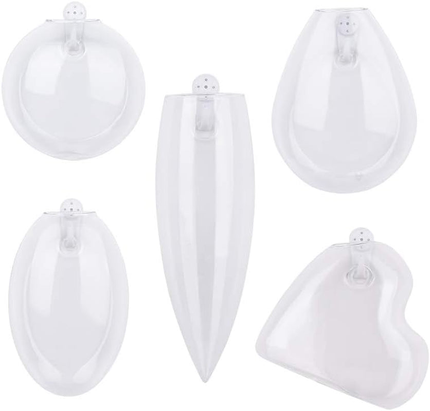 Different Geometric Wall Glass Vase Set of 5 for Water Plants or Flowers, Garden Wall Decoration (Clear 5)
