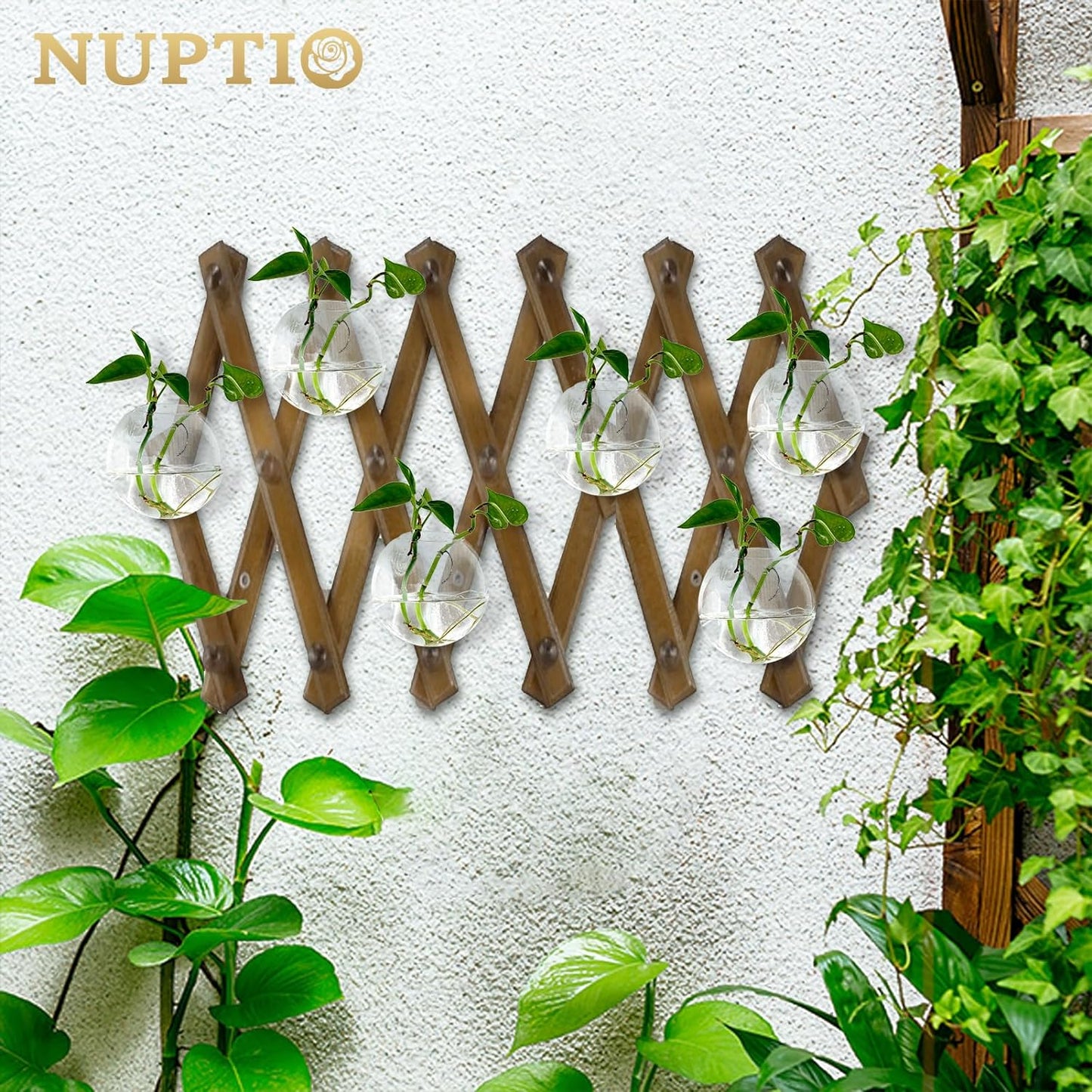 Wall Hanging Planters Terrarium: 6 Pcs Clear Glass Wall-Mounted Vases for Indoor Office Garden Living Room - Oblate Plant Pots Hydroponic Containers Propagation Stations for Flowers