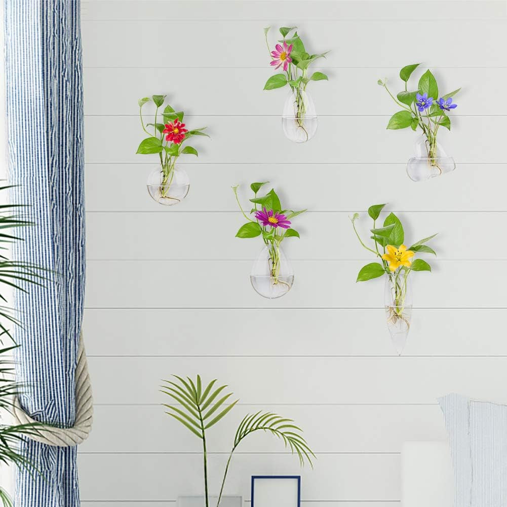 Different Geometric Wall Glass Vase Set of 5 for Water Plants or Flowers, Garden Wall Decoration (Clear 5)