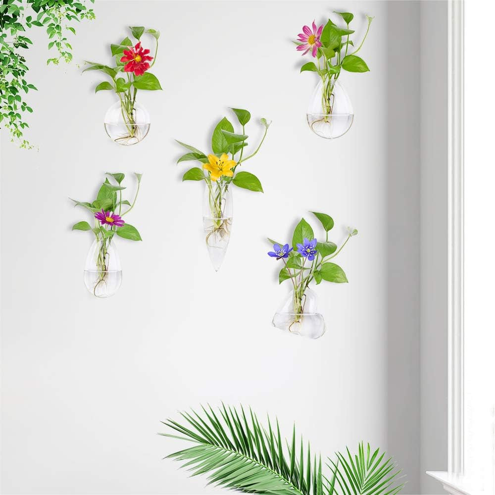 Different Geometric Wall Glass Vase Set of 5 for Water Plants or Flowers, Garden Wall Decoration (Clear 5)
