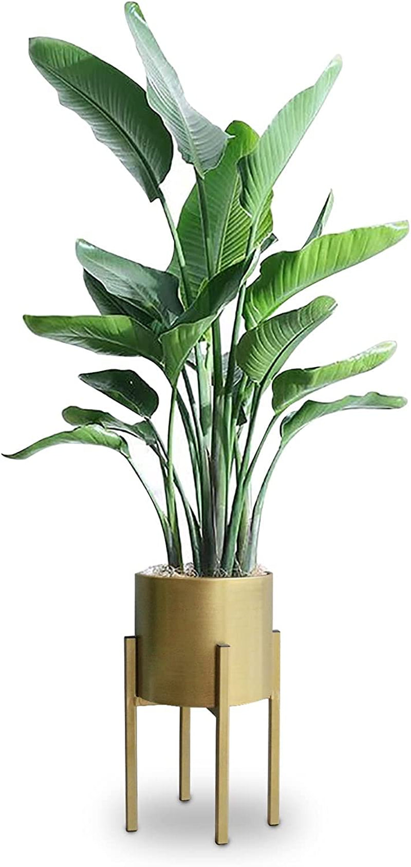 Planter Stand, Pot Stand for Plants, Metal Plants,Metal Plant Pot on Stand Flower Plant Stand Plant Shelf Plant Holder with Removable Pot Outdoor Indoor Home Decoration(Pot Included)…