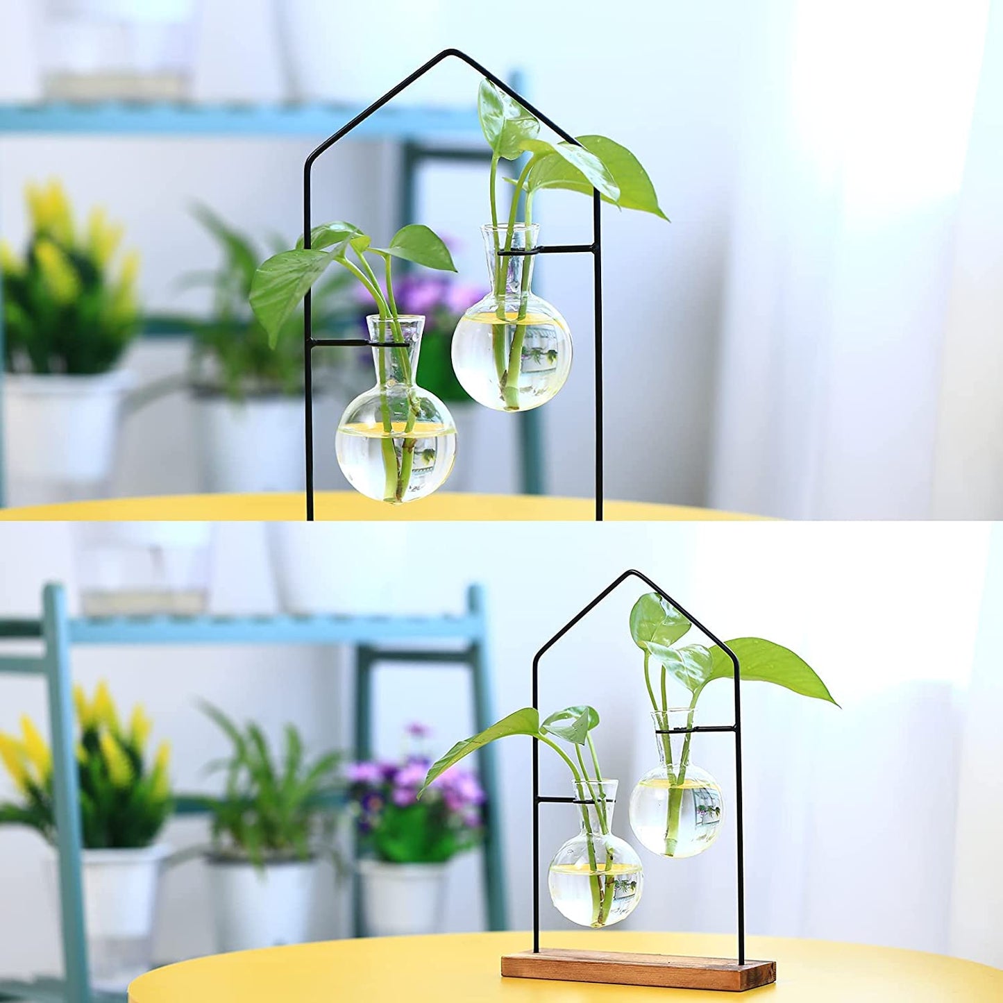 Propagation Stations for Indoor Plants, Plant Propagation Station for Hydroponic Plant, Terrarium Propagation with Bulb Vase for Air Plants,Propogation Planters Glass Bulb Vase for Office House Decor