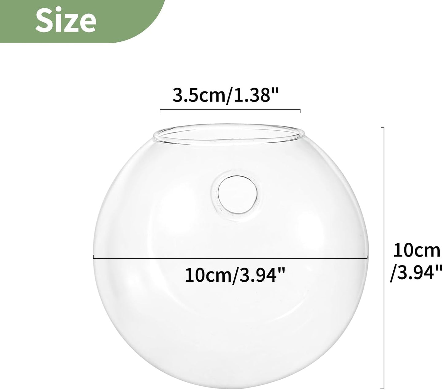 Wall Hanging Planters Terrarium: 6 Pcs Clear Glass Wall-Mounted Vases for Indoor Office Garden Living Room - Oblate Plant Pots Hydroponic Containers Propagation Stations for Flowers