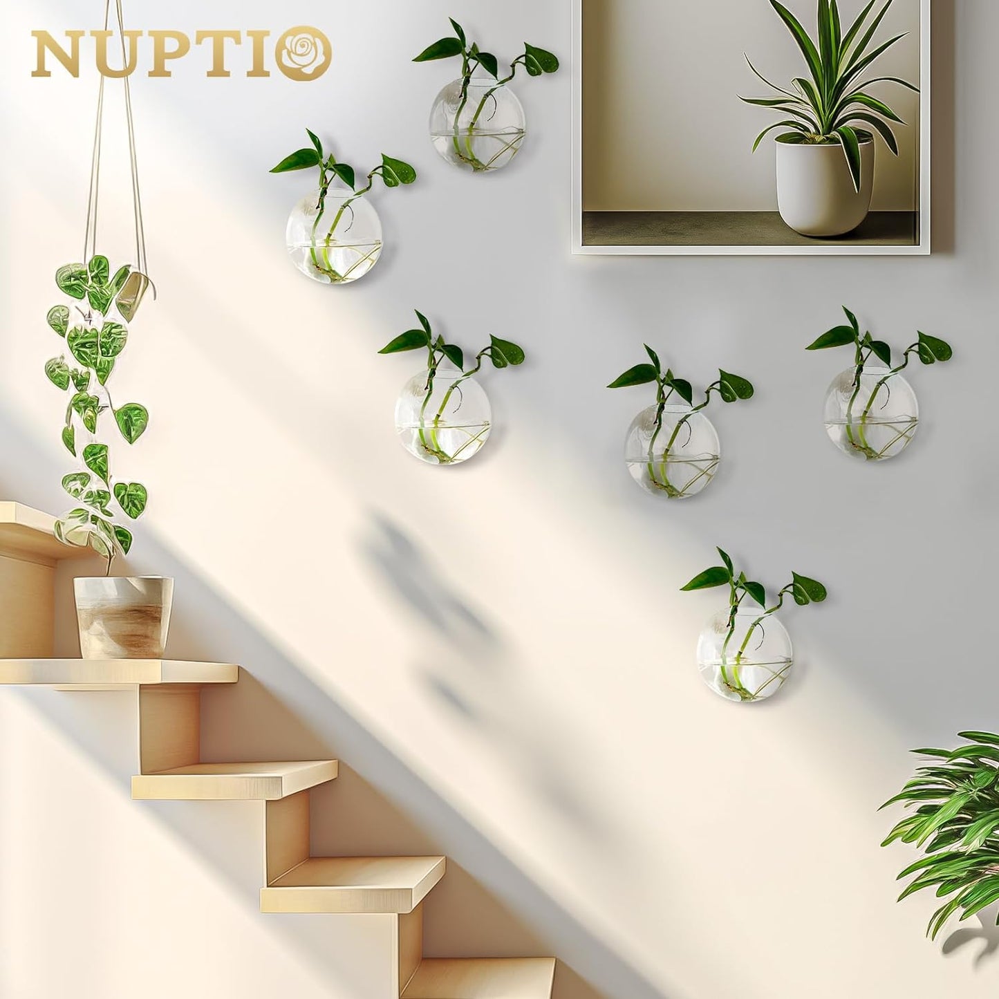 Wall Hanging Planters Terrarium: 6 Pcs Clear Glass Wall-Mounted Vases for Indoor Office Garden Living Room - Oblate Plant Pots Hydroponic Containers Propagation Stations for Flowers