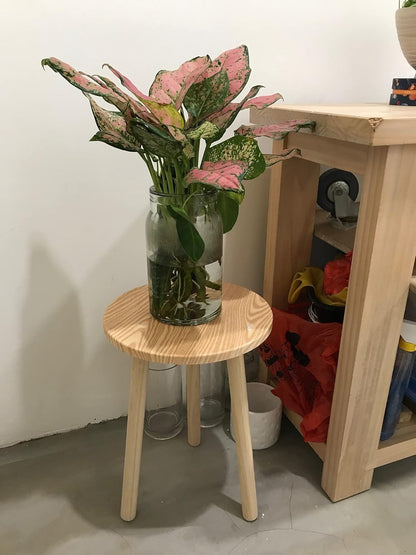 Plant Stand Indoor |  Mid Century Plant Stands for Indoor Plants, Tall (16 Inch) Plant Stand, Plant Table, Small Side Table (NO Pot & Plant Incld)