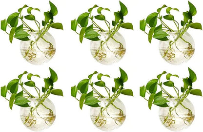 Wall Hanging Planters Terrarium: 6 Pcs Clear Glass Wall-Mounted Vases for Indoor Office Garden Living Room - Oblate Plant Pots Hydroponic Containers Propagation Stations for Flowers