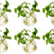 Wall Hanging Planters Terrarium: 6 Pcs Clear Glass Wall-Mounted Vases for Indoor Office Garden Living Room - Oblate Plant Pots Hydroponic Containers Propagation Stations for Flowers