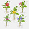 Different Geometric Wall Glass Vase Set of 5 for Water Plants or Flowers, Garden Wall Decoration (Clear 5)