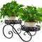 Black Planter Stand,Metal 9.8Inch round Potted Plant Stands Indoor&Outdoor ,Modern Flower Pot Stand Holder Rack Planter Display for Home,Kitchen,Patio,Garden, Corner, Balcony and Bedroom