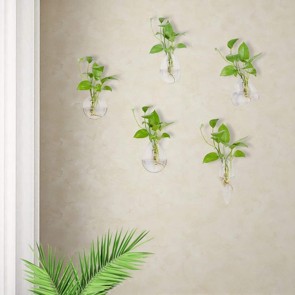 Different Geometric Wall Glass Vase Set of 5 for Water Plants or Flowers, Garden Wall Decoration (Clear 5)