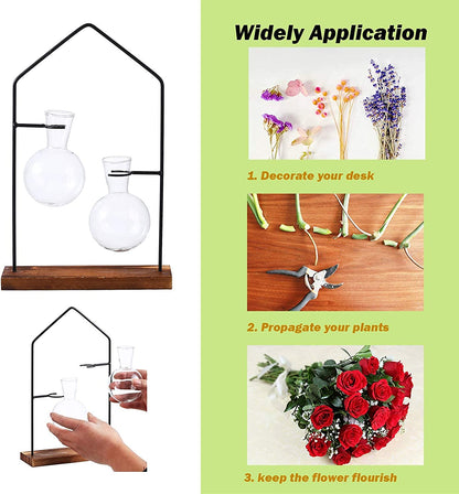 Propagation Stations for Indoor Plants, Plant Propagation Station for Hydroponic Plant, Terrarium Propagation with Bulb Vase for Air Plants,Propogation Planters Glass Bulb Vase for Office House Decor
