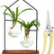 Propagation Stations for Indoor Plants, Plant Propagation Station for Hydroponic Plant, Terrarium Propagation with Bulb Vase for Air Plants,Propogation Planters Glass Bulb Vase for Office House Decor