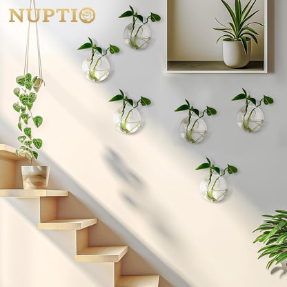 Wall Hanging Planters Terrarium: 6 Pcs Clear Glass Wall-Mounted Vases for Indoor Office Garden Living Room - Oblate Plant Pots Hydroponic Containers Propagation Stations for Flowers